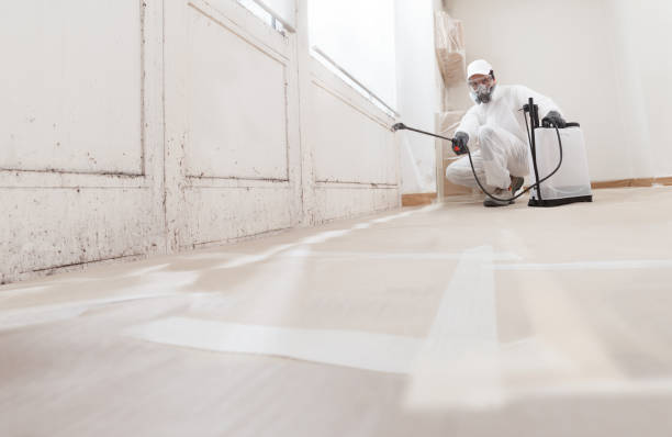 24/7 Emergency Mold Removal experts in Sparta, IL